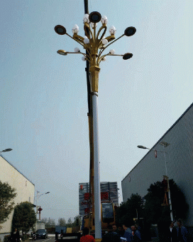 吴中景观道路灯